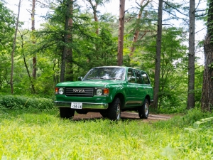 ランクル８０ランドクルーザー８０ 丸目換装：FD-classic８６