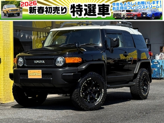 ＦＪクルーザーブラックコンプリート